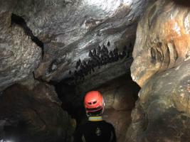 Caving Red Helmet